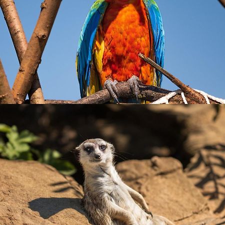 Faunapark Lipova-Lazne Dış mekan fotoğraf