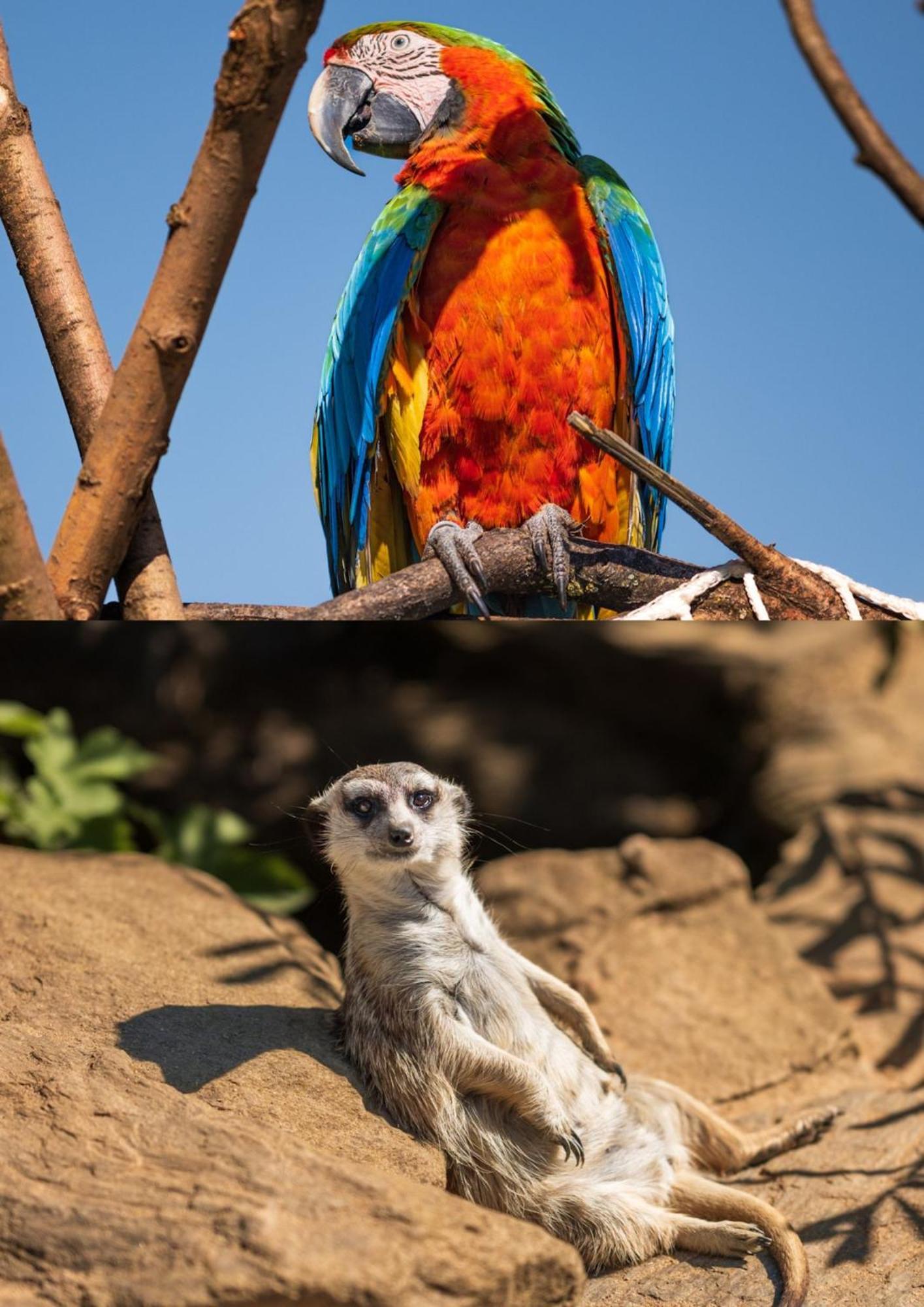 Faunapark Lipova-Lazne Dış mekan fotoğraf