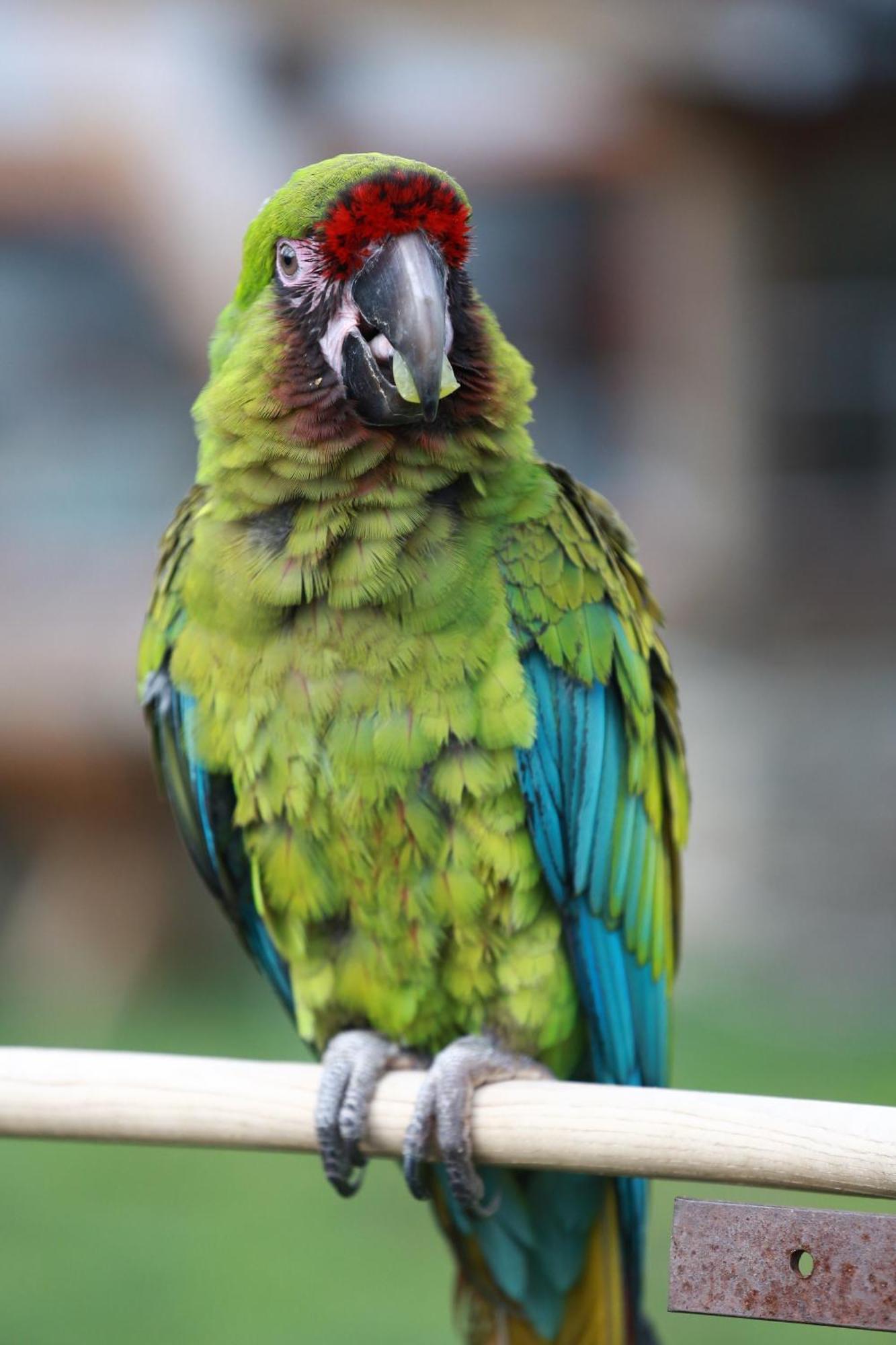 Faunapark Lipova-Lazne Dış mekan fotoğraf